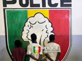 Kaolack : Interpellation de 3 individus pour des faits présumés d’actes contre nature à la plage de Koundam.